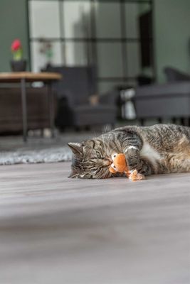 q9oNEdI3Xfm4UzP1764327869