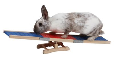 qQfje1R7yUZMD2E1764326506