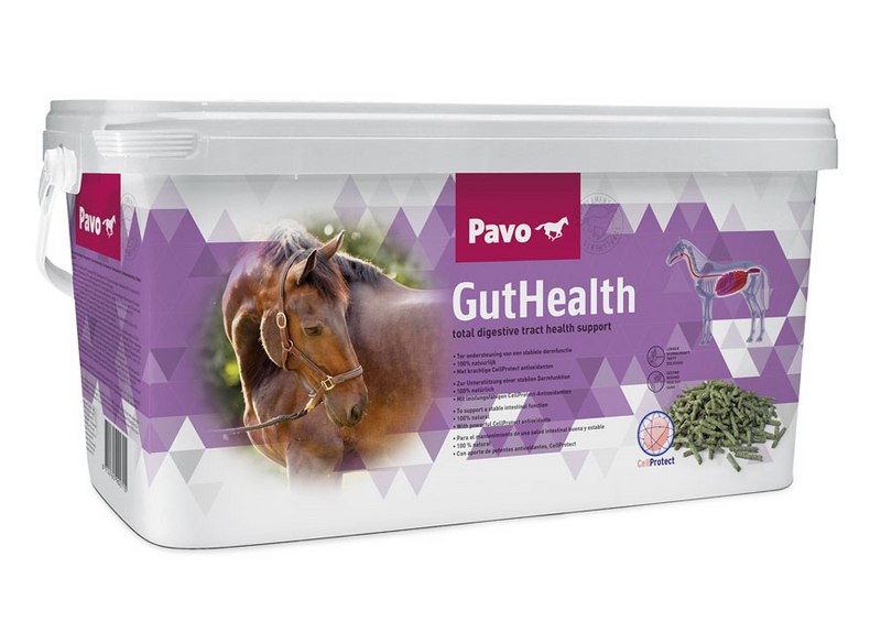 Pavo GutHealth 7,5 kg