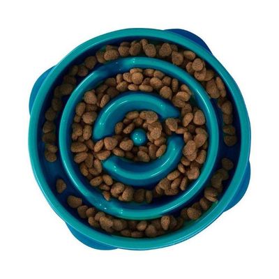 Fun Feeder Slo Bowl, Turkos