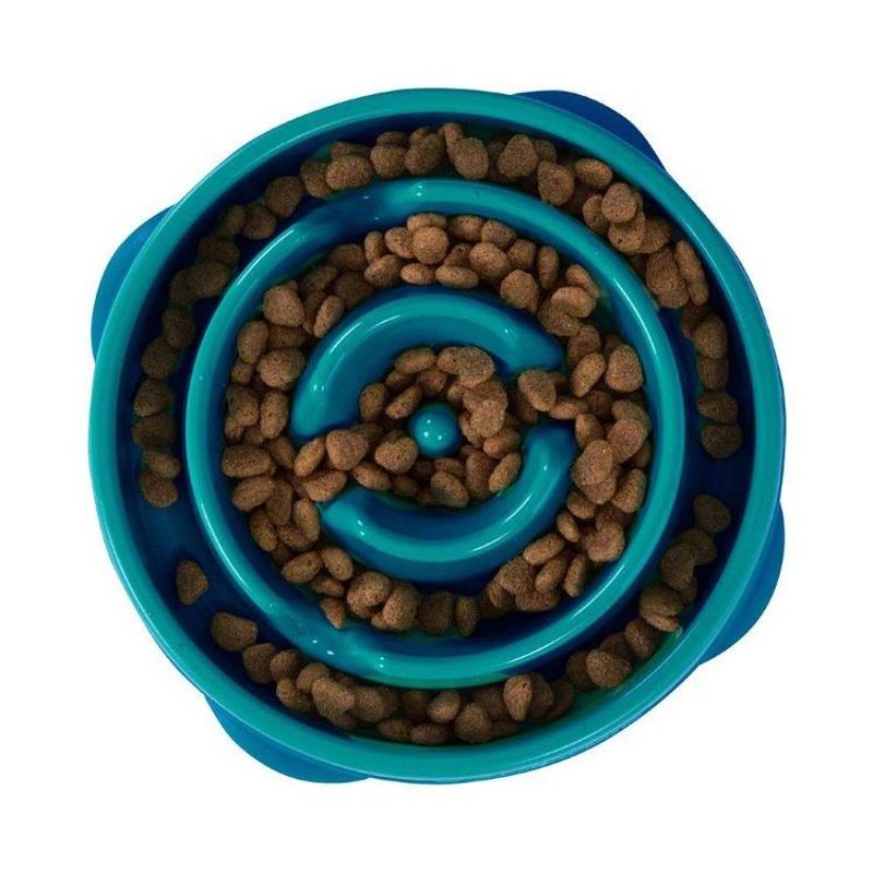 Fun Feeder Slo Bowl, Turkos