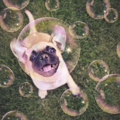 Bacon bubbles, 120ml