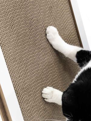 Klösbräda Papp Coco 80