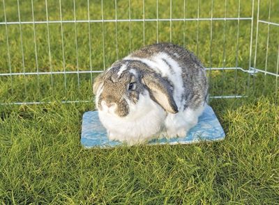 rGyfpBt1xA0hZSw1764324349