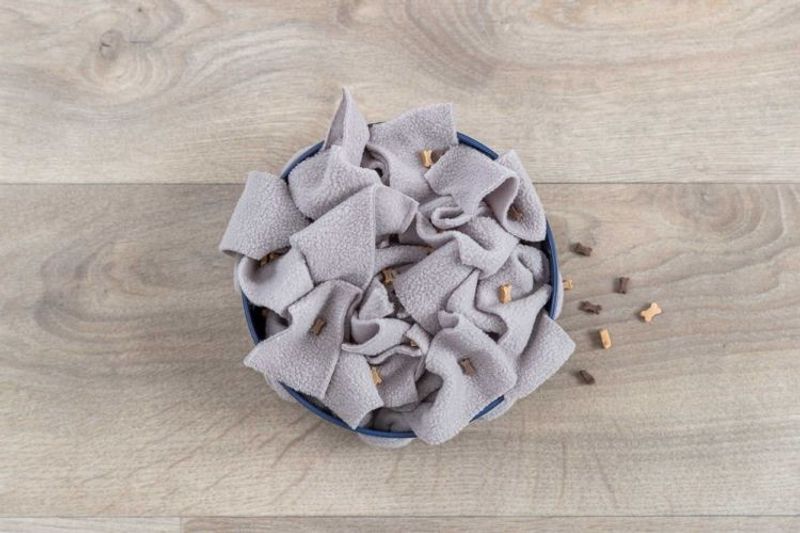 Dog Activity Hide'n'Sniff skål, Nivå 1, plast, ø18 cm