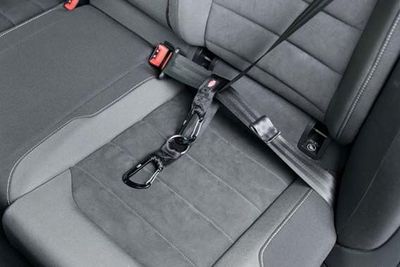 ruDW7YoMw4c17n11764325990