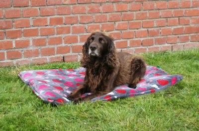 s1583qmRNv4OfLo1764325525