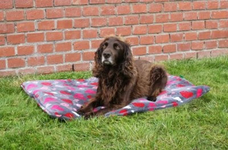 Juunik Madrass Beige med tassar