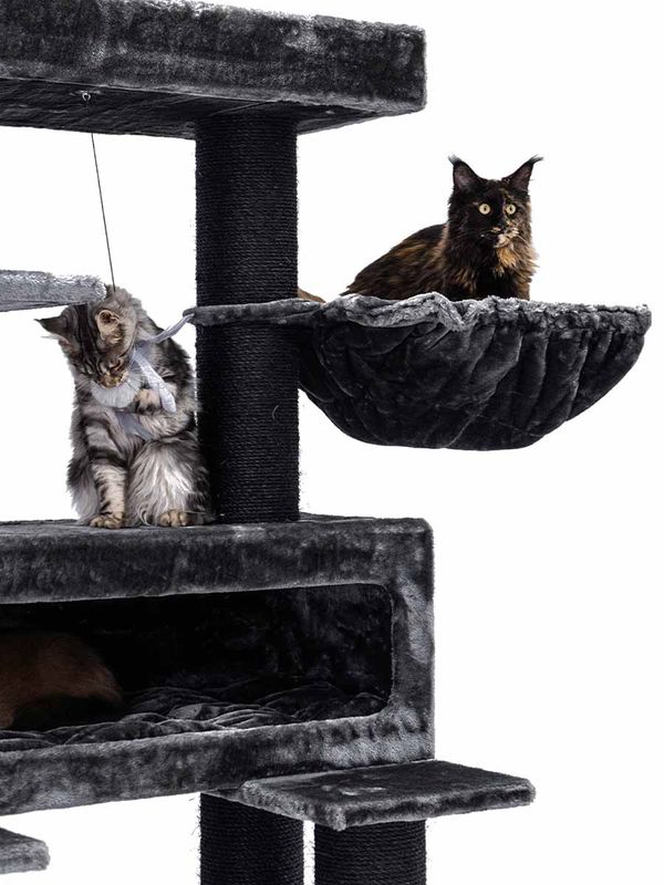 Klösträd Lookout 198