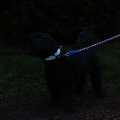 wzFFBxgG2wKHt9z1764326825