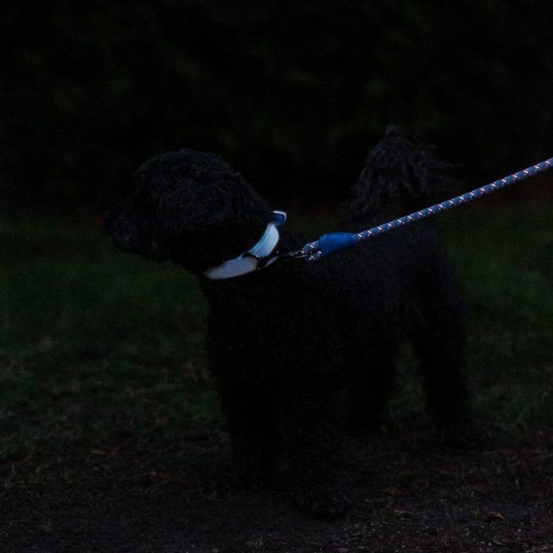 Aquatech Halsband Reflex Blå