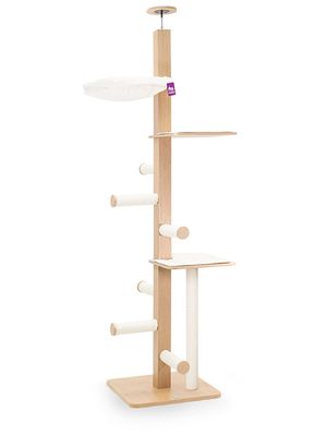 tHf0to4CvbohWgf1766501265