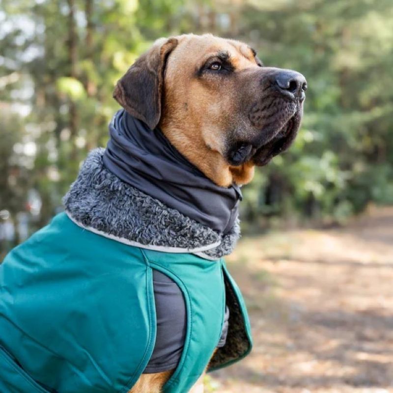 HuppuPomppa Tubhalsduk Graphite