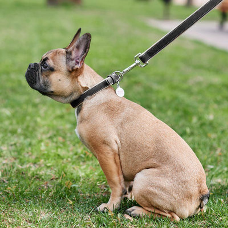 WAUDOG Soft Hundkoppel Läder Svart