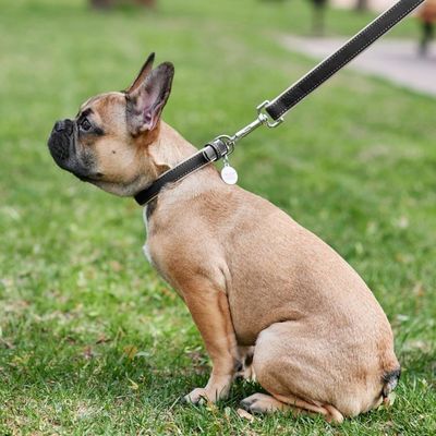 WAUDOG Soft Läderhalsband med Smart-ID Bricka, Svart