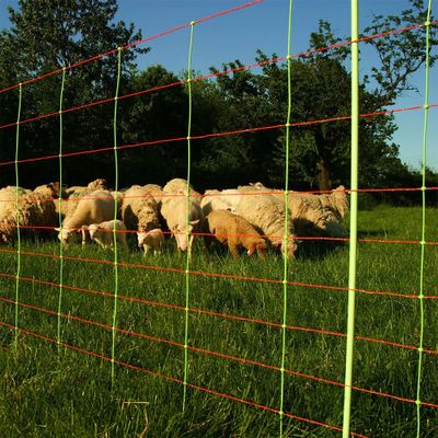 tvXp9TqvyOghIfg1777465932