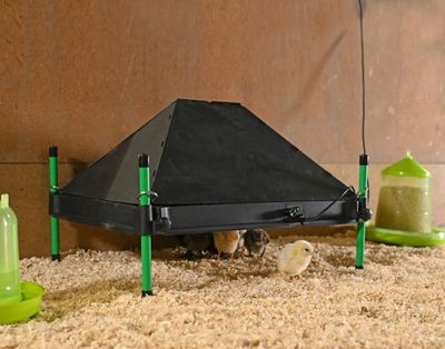 u34yPt55Iyr7GfX1764326712