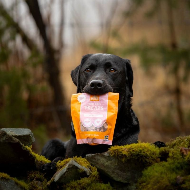 MUSH Treats Frystorkad Grishjärta 50 g