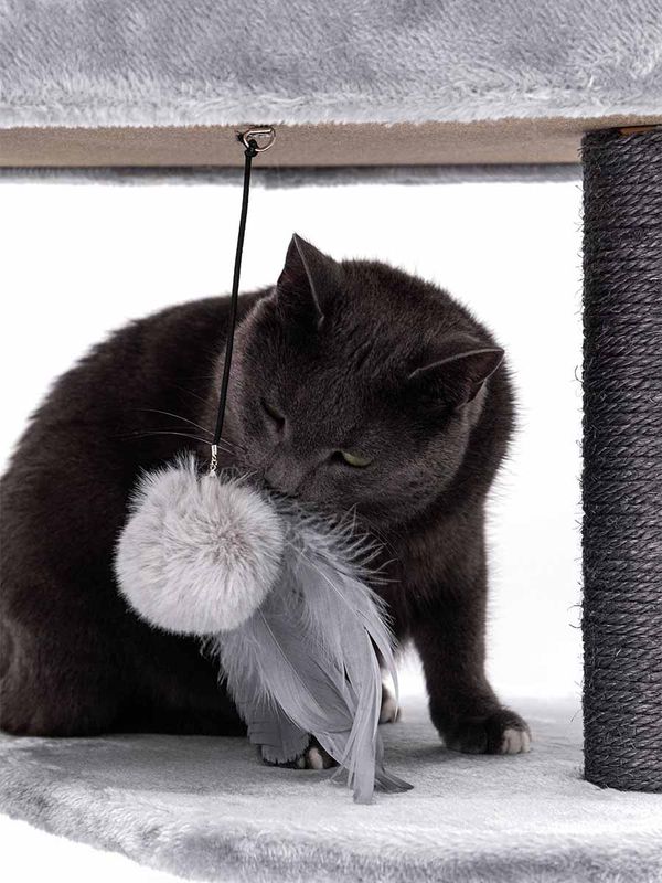 Klösträd Charlotte 134