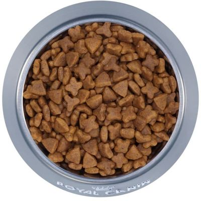 ulNuQLVFWiSqVwV1764325413