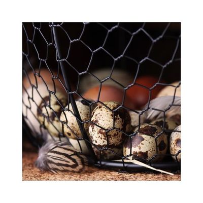 upGIgWJLw8aFmVg1764327044