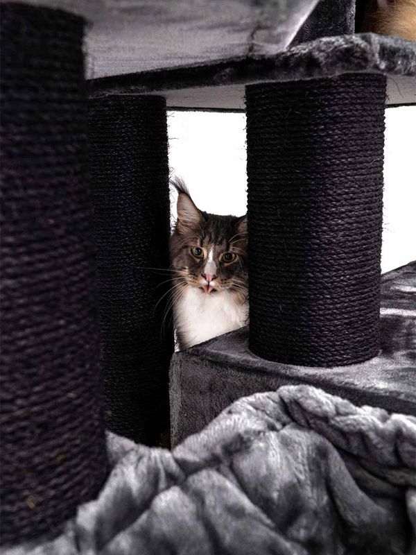 Klösträd Alley 200