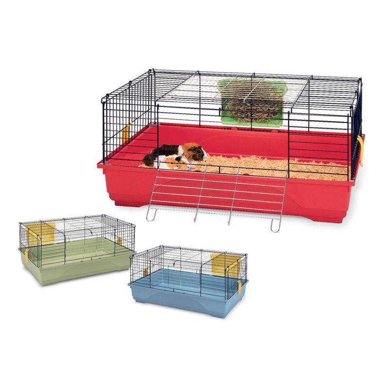 Marsvinsbur Easy 80 Mixade färger Imac 80x49x42cm