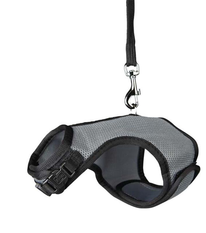 Softsele+koppel dvärgkanin