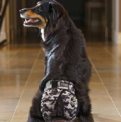 vXs5xJLEkSOUqHz1764327363