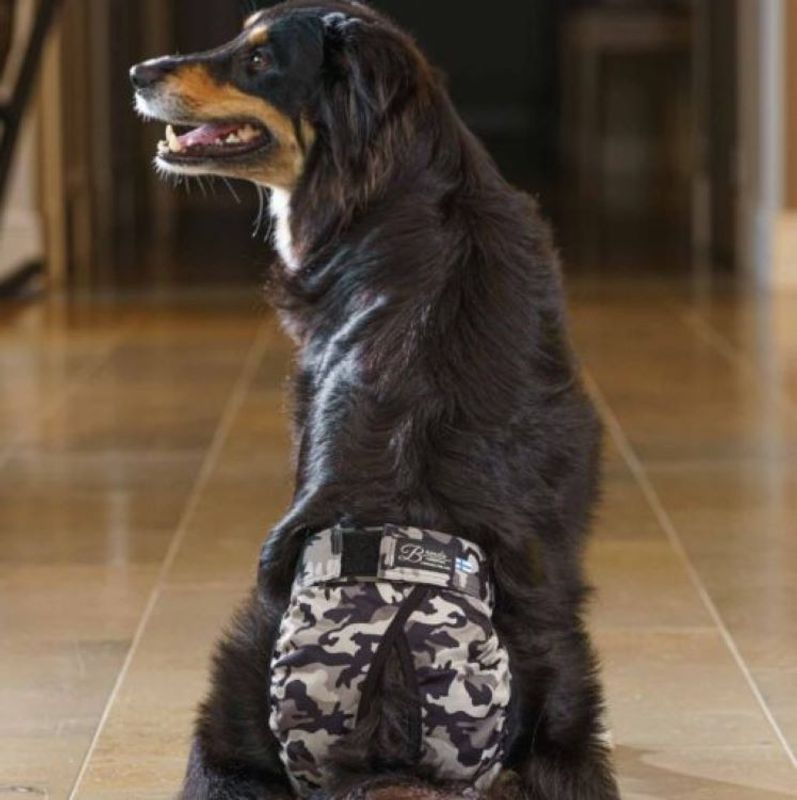 Tikskydd BRENDA Camo