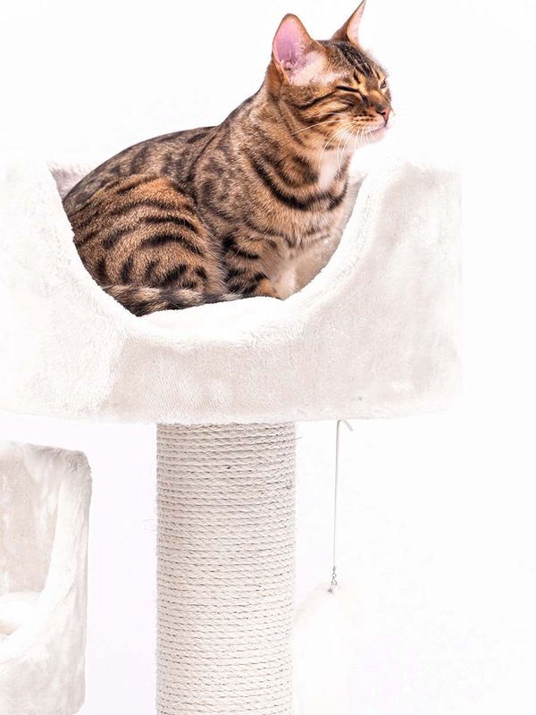 Klösträd Victoria 125