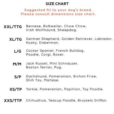 vgAethdepMm4tHz1764326788