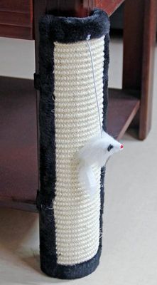 vgsREPUJeD16JWP1764324338