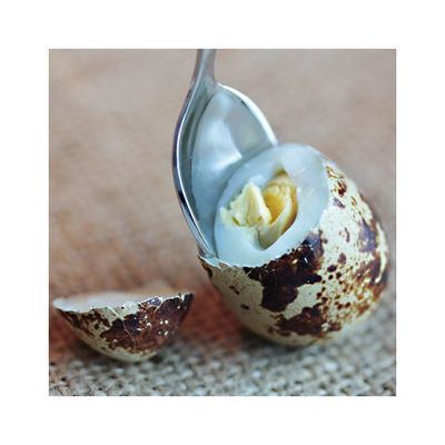 vucoO5IdUxYWuCa1764326411