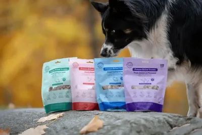 Buddy Freeze-dried Treats Raw Turkey & Fish 100g