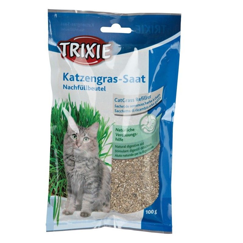 Kattgräs 100g