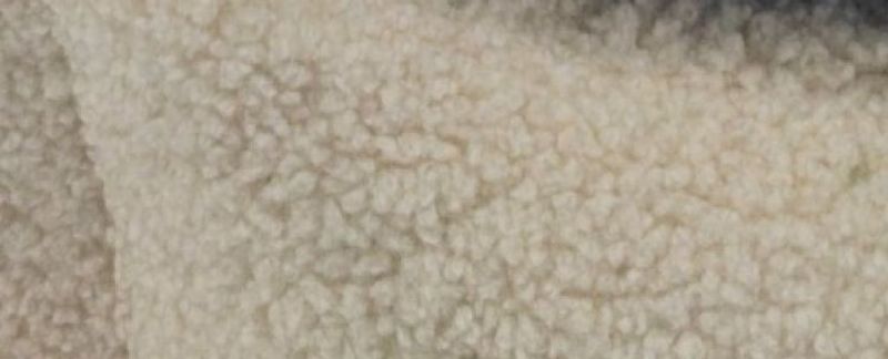 CAZO Madrass Mirson Beige