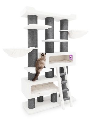 xdqgPLZVKA94i001766406719