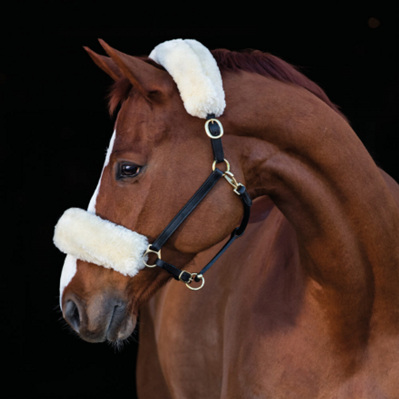 Nosludd i Fårskinn Creme 30cm