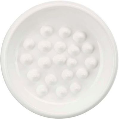 y17nVtxSthb9gpp1764325621