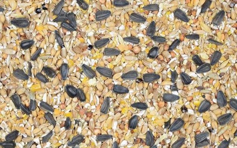 Oxéna Värpmüsli 14kg