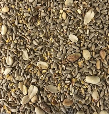 yZ2NckV1DD53kii1764326013