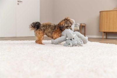 Elefant, plysch, 41 cm