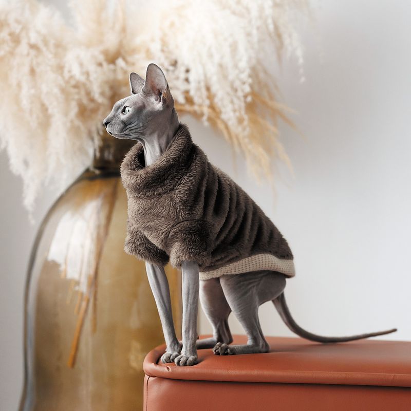 Stickad Tröja för katter Brun