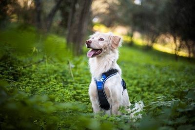 yrQNfnFuzjDqfDM1764326901