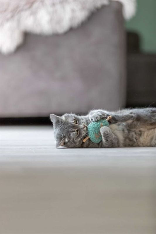 Matatabihjärta, plysch, 12 cm