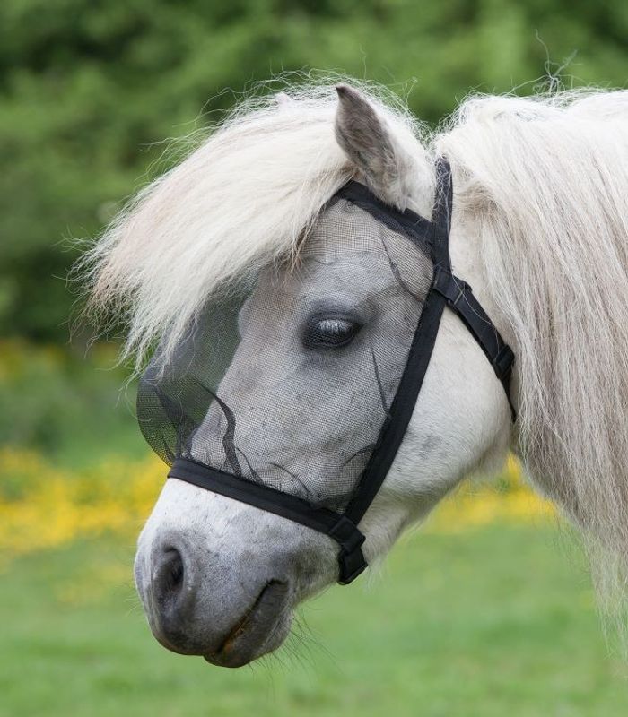 Waldhausen Flugmask utan öron 2-pack