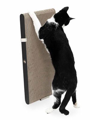 Klösbräda Papp Milo 63