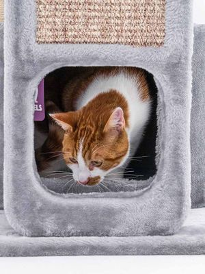 Klösträd Little Rock 99