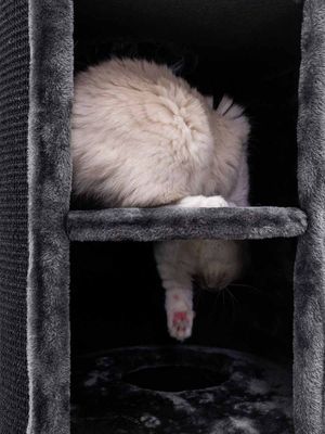 Klöstunna Superdome 120